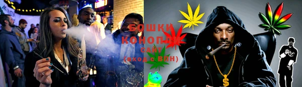 спайс Лагань