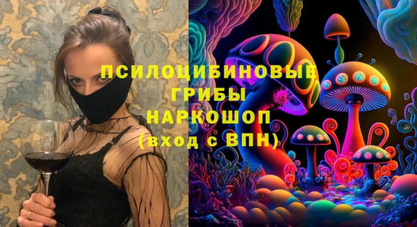 спайс Лагань
