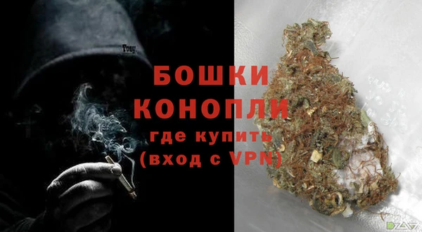спайс Лагань