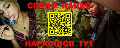 шишки Дубна