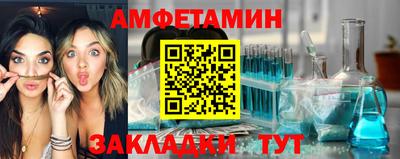 шишки Дубна
