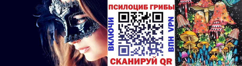 Псилоцибиновые грибы мицелий  Новоалтайск 