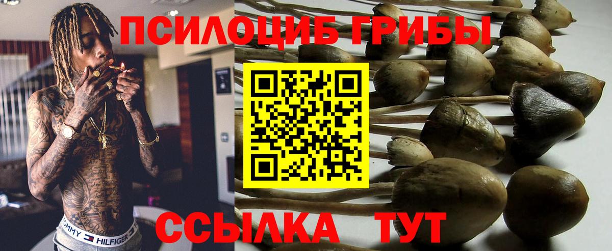 Галлюциногенные грибы Cubensis Новоалтайск